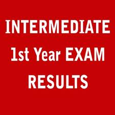 Inter 1st Year Results
